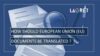 Video Game Localization
